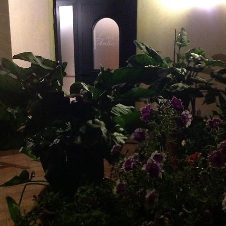 L' Aia Antica Bed and Breakfast Veroli Εξωτερικό φωτογραφία