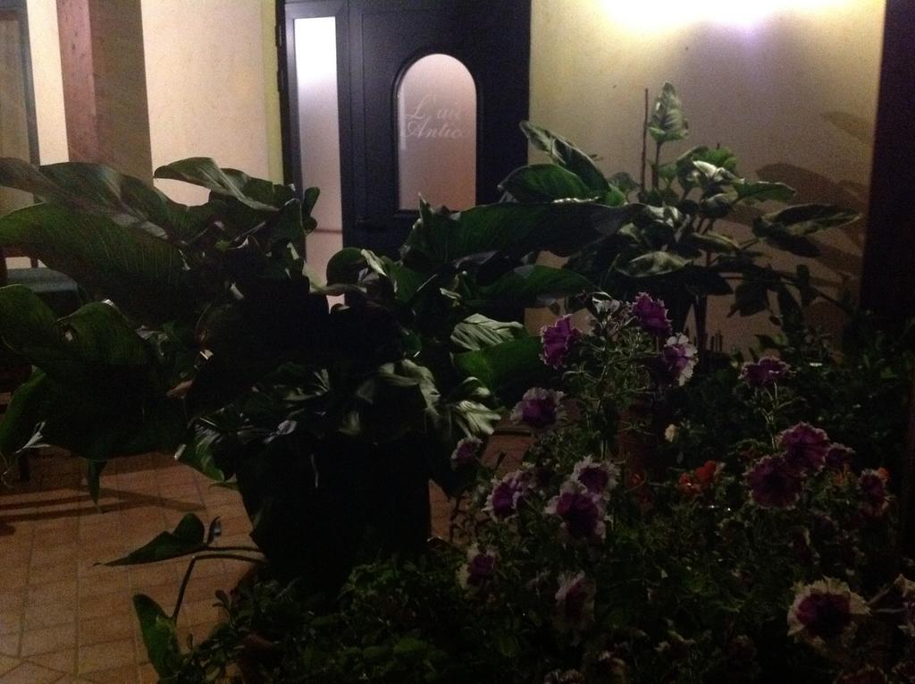 L' Aia Antica Bed and Breakfast Veroli Εξωτερικό φωτογραφία